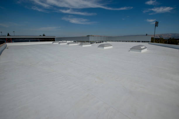 Best Tile Roofing Installation  in Delisle, MS