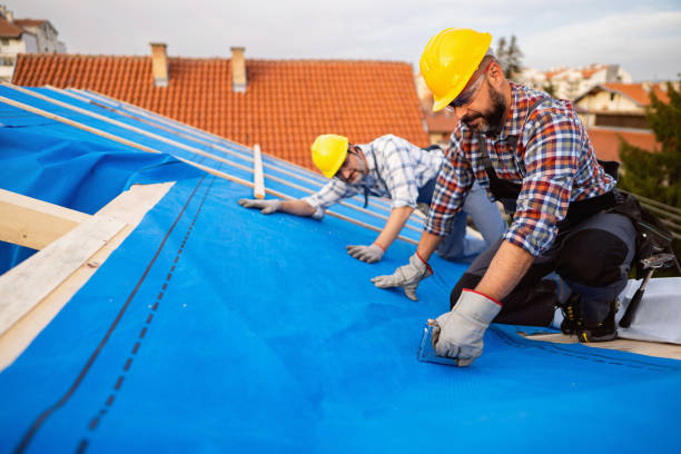 Best Green or Eco-Friendly Roofing Solutions  in Delisle, MS