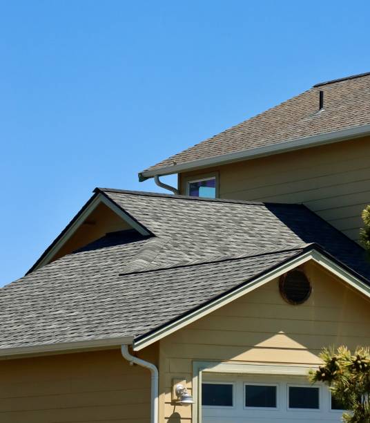 Best Roof Insulation Installation  in Delisle, MS